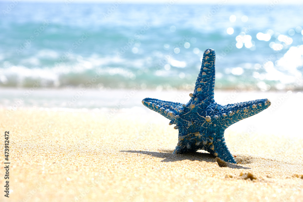 Starfish and Wave water sea blue amazing on islands in the world Starfish and Wave water sea blue amazing on islands in the world