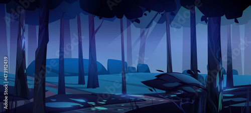 Night forest landscape with trees and rocks. Dark wild wood natural background, mysterious place with plants, grass and ground spots under moonlight falling through crowns, Cartoon vector illustration
