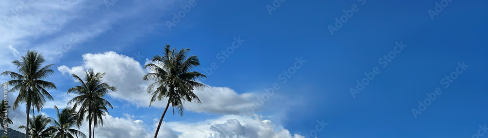 Wide background with empty space for text. Blue sky with beautiful clouds. Palm trees. Panorama, template, backdrop, layout for adv of travel service, tours agency, tourism at the tropical resorts. 
