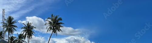 Wide background with empty space for text. Blue sky with beautiful clouds. Palm trees. Panorama, template, backdrop, layout for adv of travel service, tours agency, tourism at the tropical resorts. 