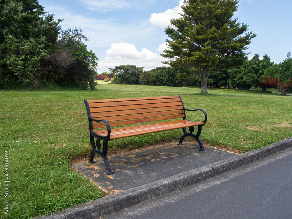 Wooden bench with black metal iron cast frame in park
