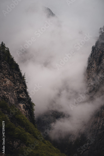 Rocks, forests and meadows covered with fog in an alpine mountain world in Switzerland