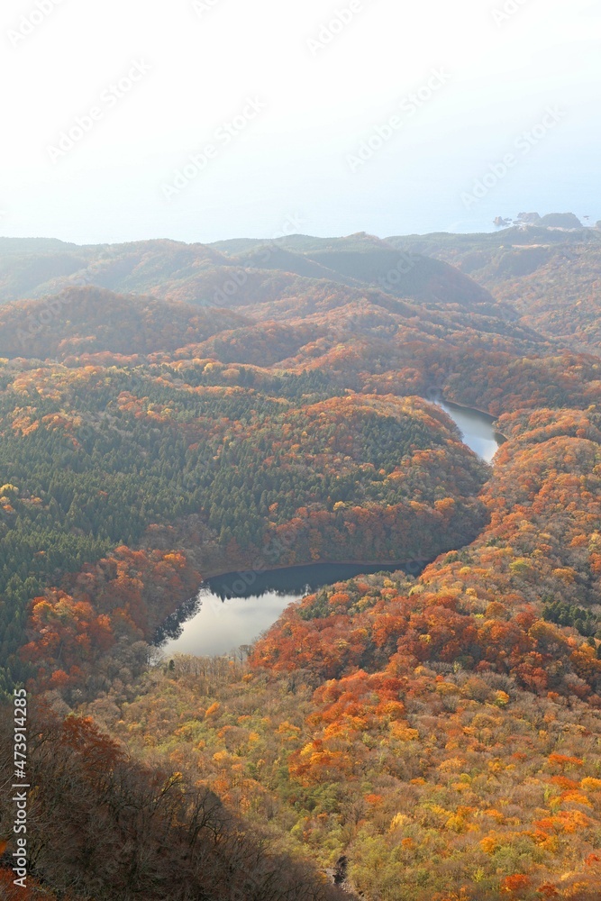 Fototapeta premium 秋の白神山地 十二湖と日本海
