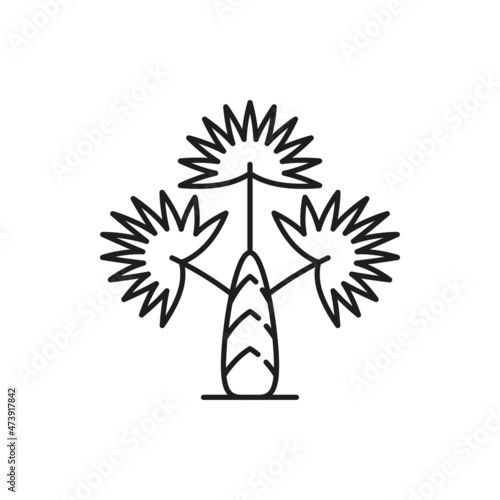 Exotic palm tree isolated thin line icon. Vector tropical plant with palmetto leaves, coconut banana tree. Vector subtropical palm-tree jungle forest plant, hawaiian and thai landscape design element