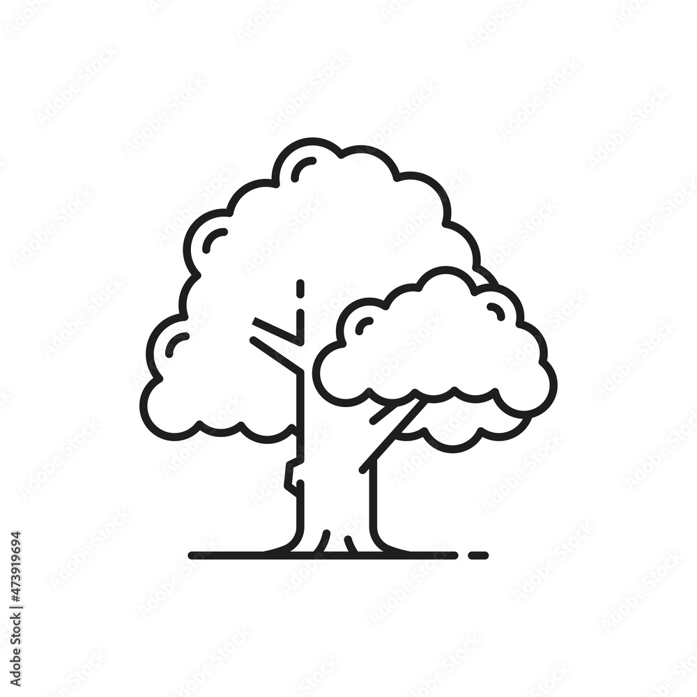 Tree with broad crown, garden Garden sign, Germany farm fruit plant isolated thin line icon. Vector botanical spring or summer decorative object. Forest park landscape and garden architecture element Tree with broad crown, garden Garden sign, Germany farm fruit plant isolated thin line icon. Vector botanical spring or summer decorative object. Forest park landscape and garden architecture element