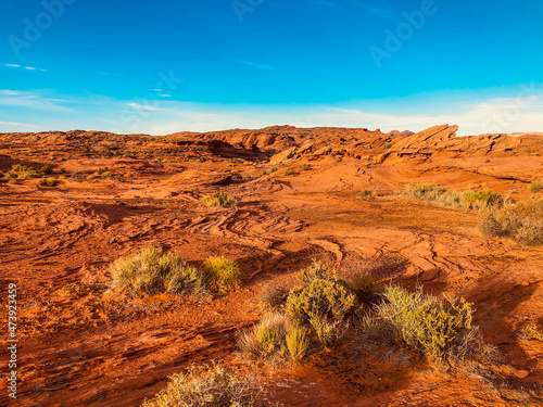 red rock canyon © Evan