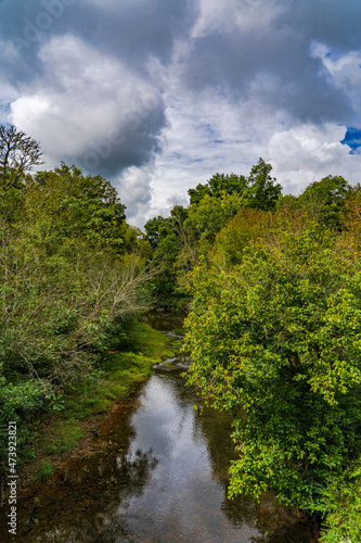A river in the forest in North Carolina