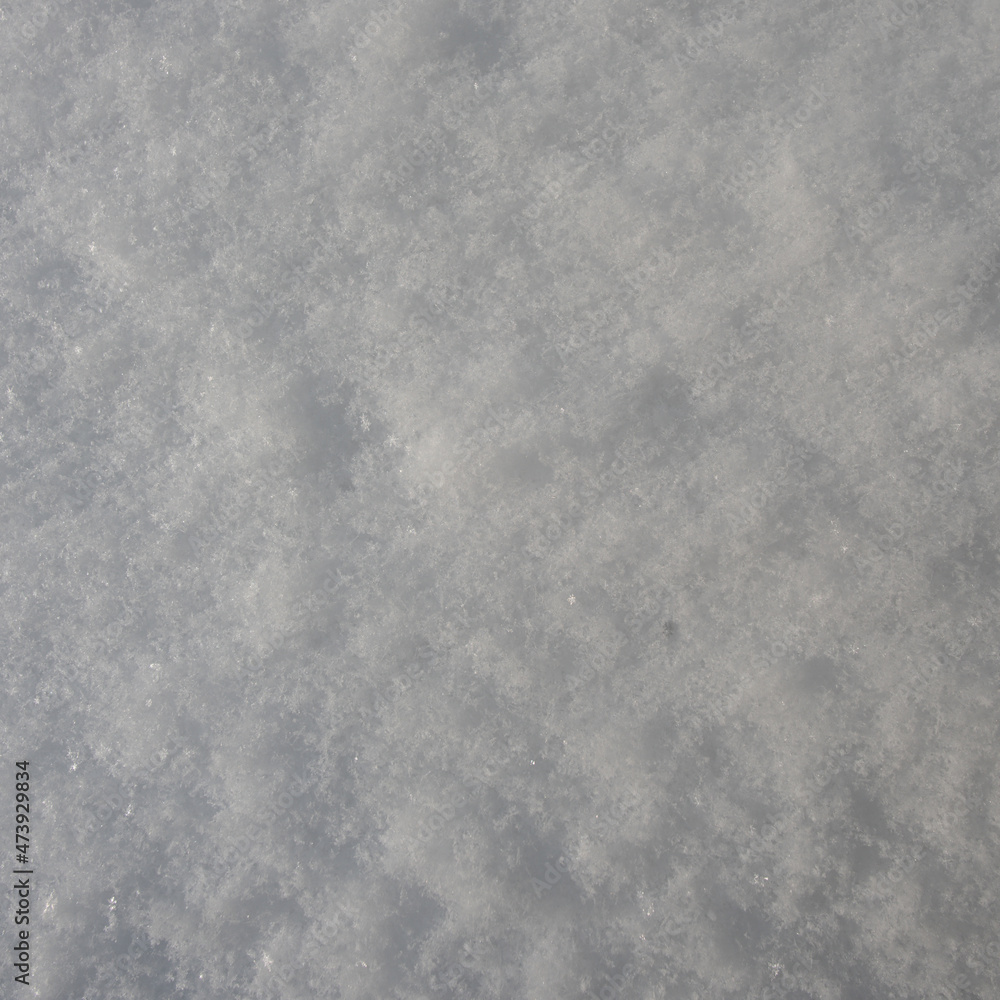 Fototapeta premium Snow background, snow texture. White snow as abstract background.