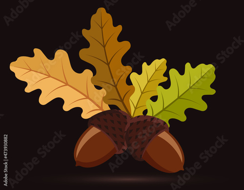 oak leaves and acorns, dark background, vector illustration 