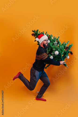 Fototapeta Naklejka Na Ścianę i Meble -  Bearded man in Santa hat and glasses holds Christmas tree in hands. Man carrying Christmas tree.