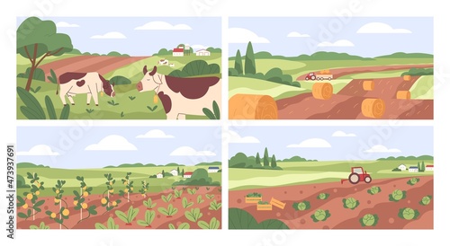 Farmland landscapes set. Farms backgrounds with cows in pastures, grasslands, agriculture fields, vegetable gardens in countryside. Colored flat vector illustrations of village panoramic scenes
