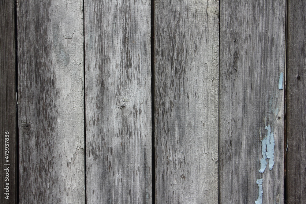 Fototapeta premium An old dry battered wooden fence with vertical gray boards background texture