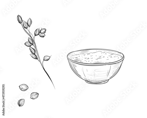 Hand drawn sketch black and white set of millet, grain, leaf. Vector illustration. Elements in graphic style label, card, sticker, menu, package. Engraved style illustration.