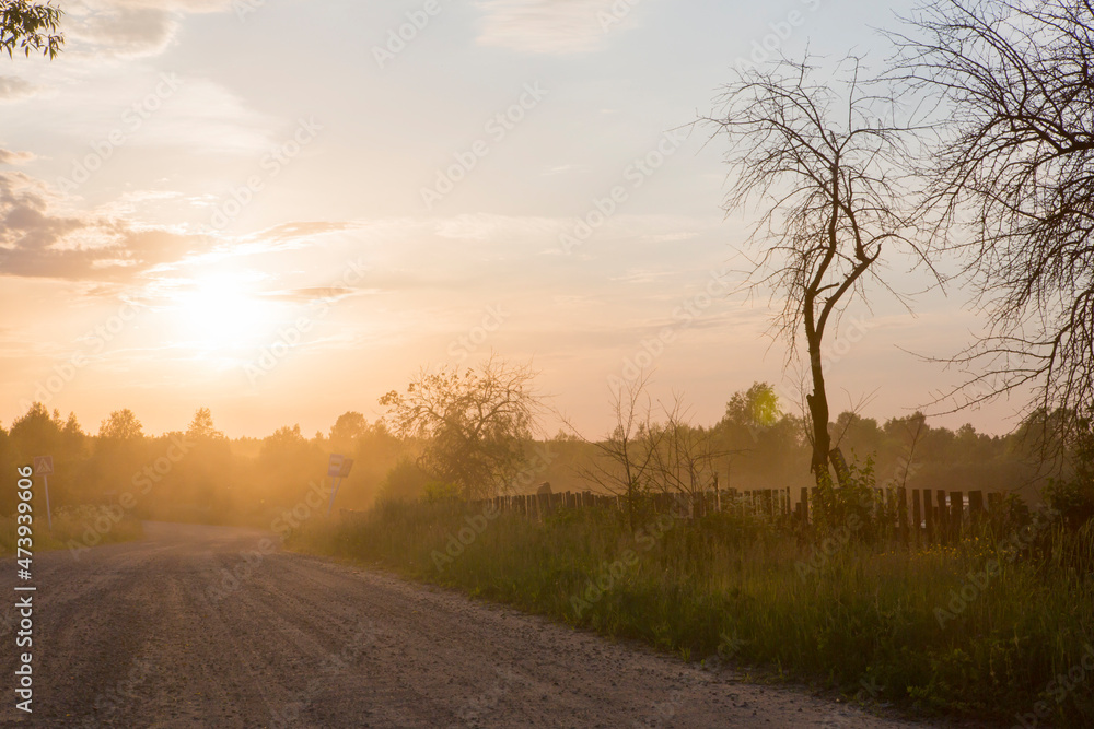 sunset country dusty road in spring panorama. Beautiful blue sky, white clouds, haze, naked trees, green grass.