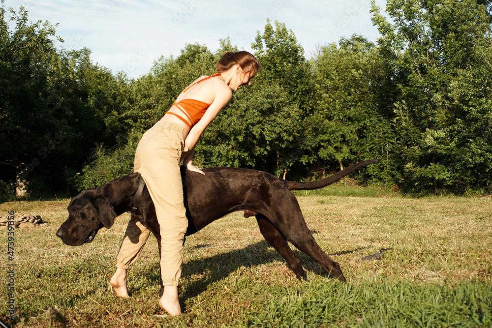 cheerful woman playing dog outdoors in the field of friendship