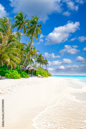Fototapeta Naklejka Na Ścianę i Meble -  Tropical resort hotel beach paradise. Amazing nature, coast, shore. Summer vacation, travel adventure. Luxury holiday landscape, stunning ocean lagoon, blue sky palm trees. relax idyllic inspire beach