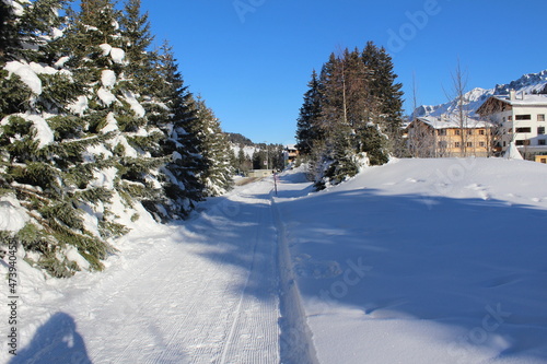 ski resort in winter © Diana