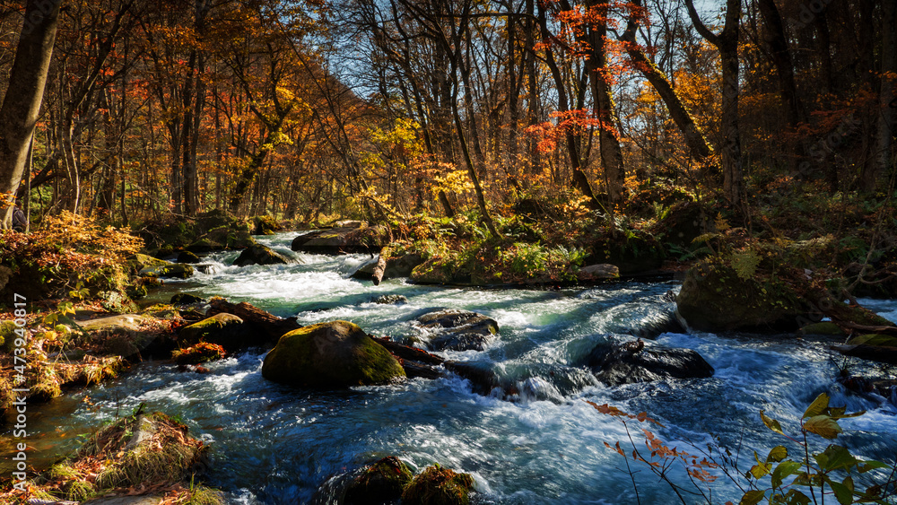 Oirase Stream (Oirase Keiryū) is a picturesque mountain stream in Aomori Prefecture that is one of Japan's most famous and popular autumn colors destinations Oirase Stream (Oirase Keiryū) is a picturesque mountain stream in Aomori Prefecture that is one of Japan's most famous and popular autumn colors destinations