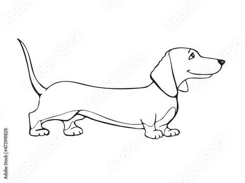 Dachshund, basset hound, beagle, pet. Silhouette of the cute dog in cartoon style. Vector illustration isolated on white background. Outline freehand drawn. Coloring page book
