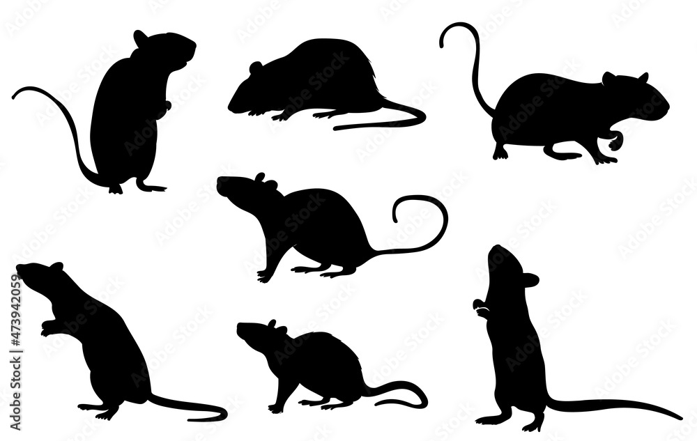 silhouette set of mouse, rat on white background, isolated, vector