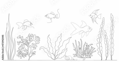 algae and fish, continuous line drawing, sketch, vector © zolotons