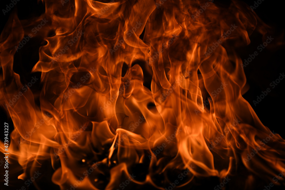 Fire flame. Burn lights on a black background. Fire flame. Burn lights on a black background.