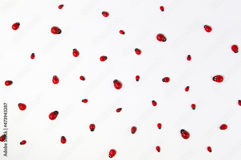 Toy ladybugs of different sizes on a white background