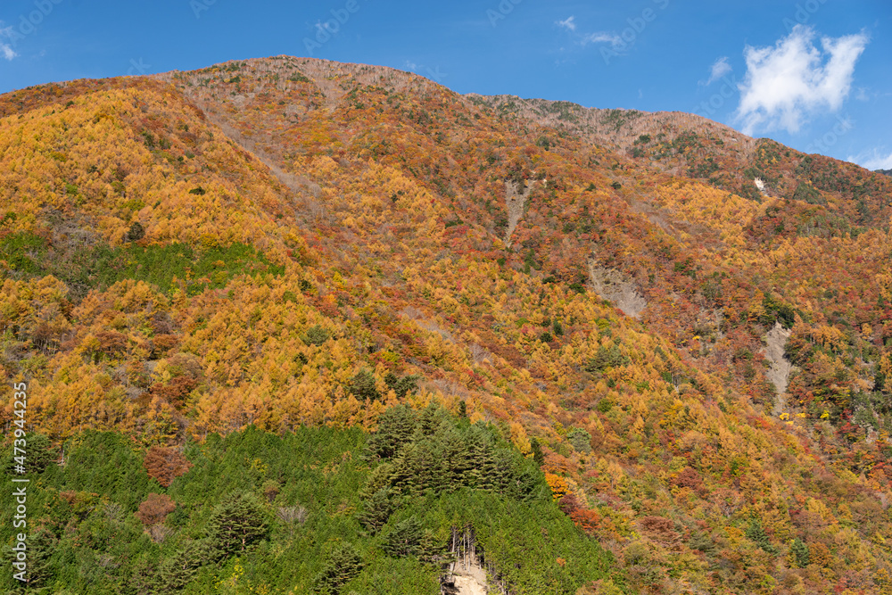 奥静岡の絶景　秋の畑薙湖