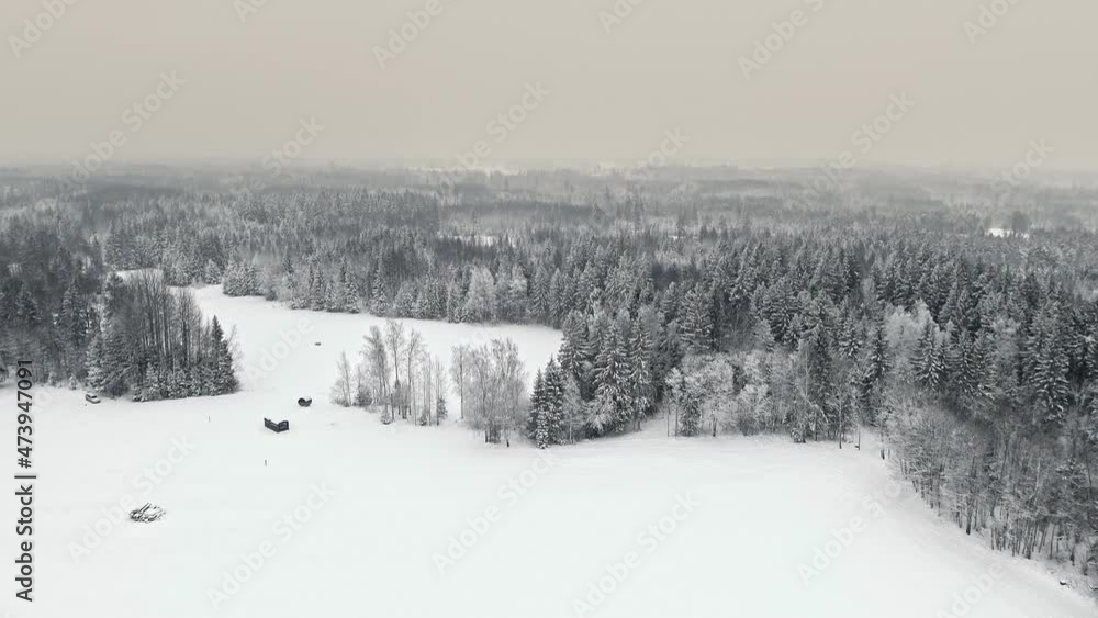 Aerial drone flight over snowy fields and snow-covered forest trees during foggy sky - Dramatic winter scene with helicopter view Aerial drone flight over snowy fields and snow-covered forest trees during foggy sky - Dramatic winter scene with helicopter view
