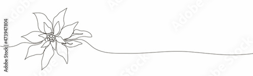 Continuous one line drawing. Concept  holiday, poinsettia flower isolated on white background. hand-drawn,  close-up. modern design. for print, banner, card, paper, poster. vector illustration