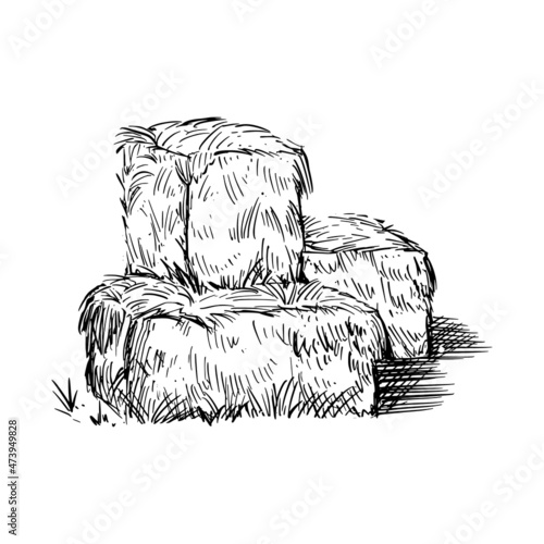 Hay bale farm drawing sketch. Hand drawn haystack. Isolated vector illustration. photo