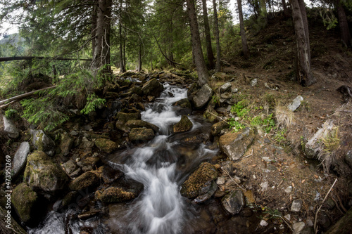 Stream in Carpathian forest