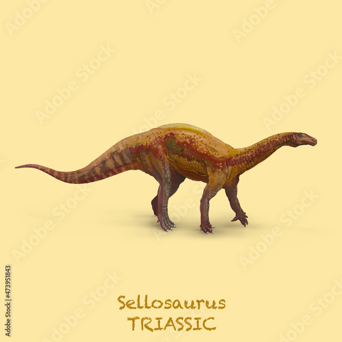 Sellosaurus TRIASSIC. A collection of various dinosaurs and reptiles that lived during the Triassic Period of Earth's history © David Costa Art