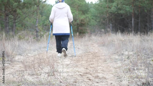 Outdoor Nordic walking. Senior woman walking in a pine forest on a summer day, rear view. An active lifestyle in