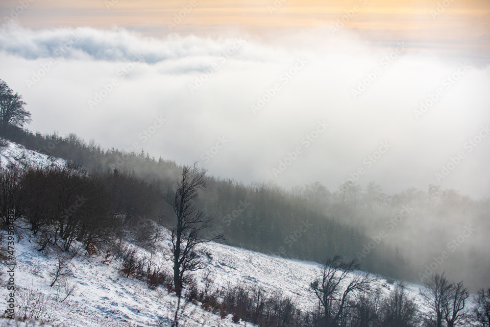 Winter nature for design. Winter landscape with trees covered with snow hoarfrost. Winter nature for design. Winter landscape with trees covered with snow hoarfrost.