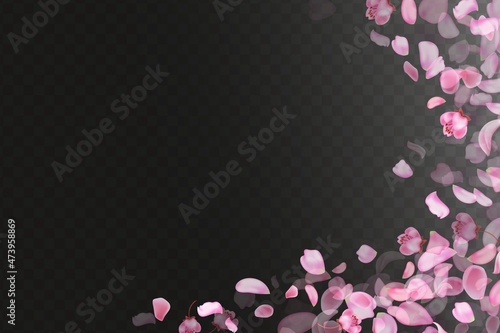 Pink falling sakura petals and flowers. Nature horizontal background