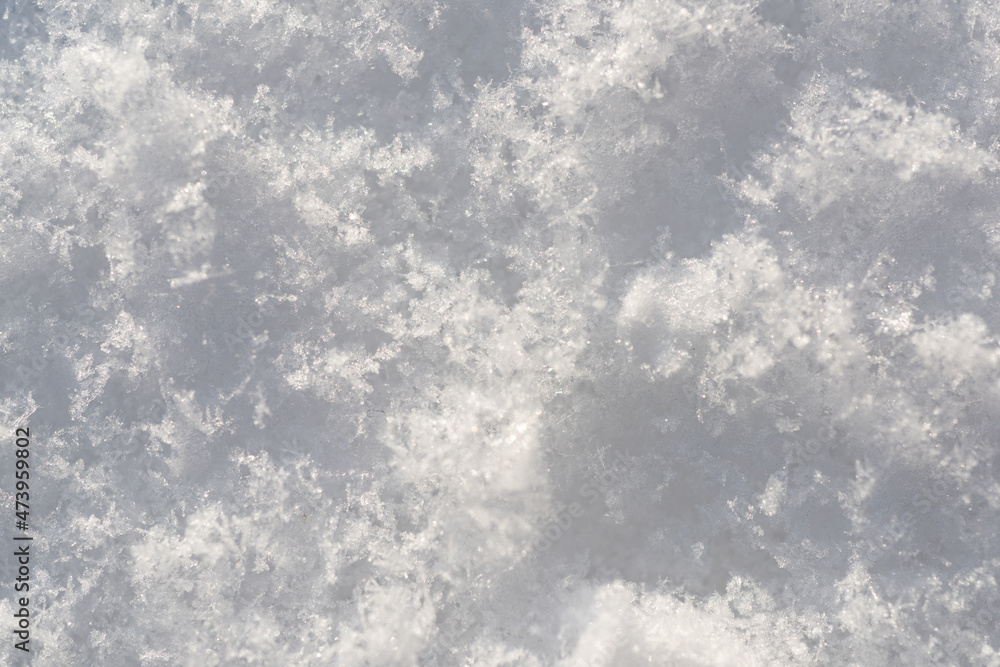 Background of fresh snow texture in white tone. Background of fresh snow texture in white tone.