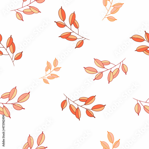 vector pattern with floral pattern
