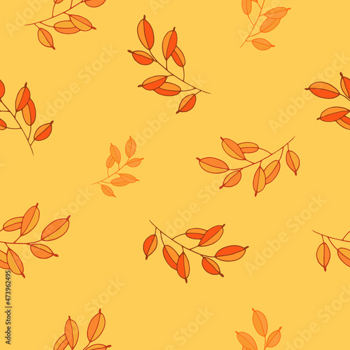 vector pattern with floral pattern