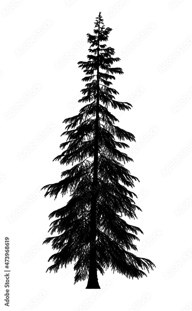 Black silhouette of Pine, Christmas tree icon isolated on white background. Black silhouette of Pine, Christmas tree icon isolated on white background.