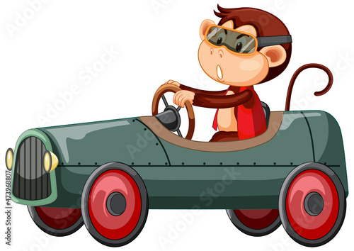 Little monkey driving race car on white background
