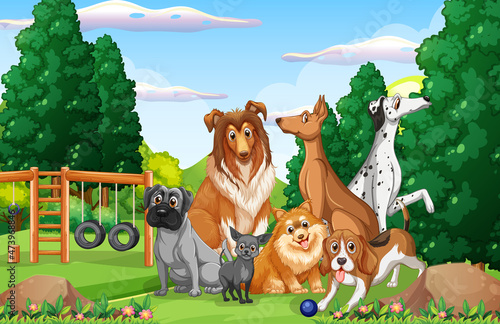 Park nature scene with many different dogs