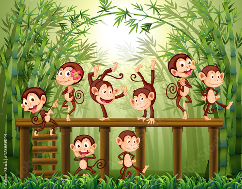 Little monkeys on bamboo forest background