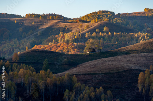 autumn colors in dumesti, romania