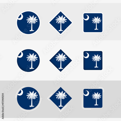 South Carolina flag icons set  vector flag of South Carolina.
