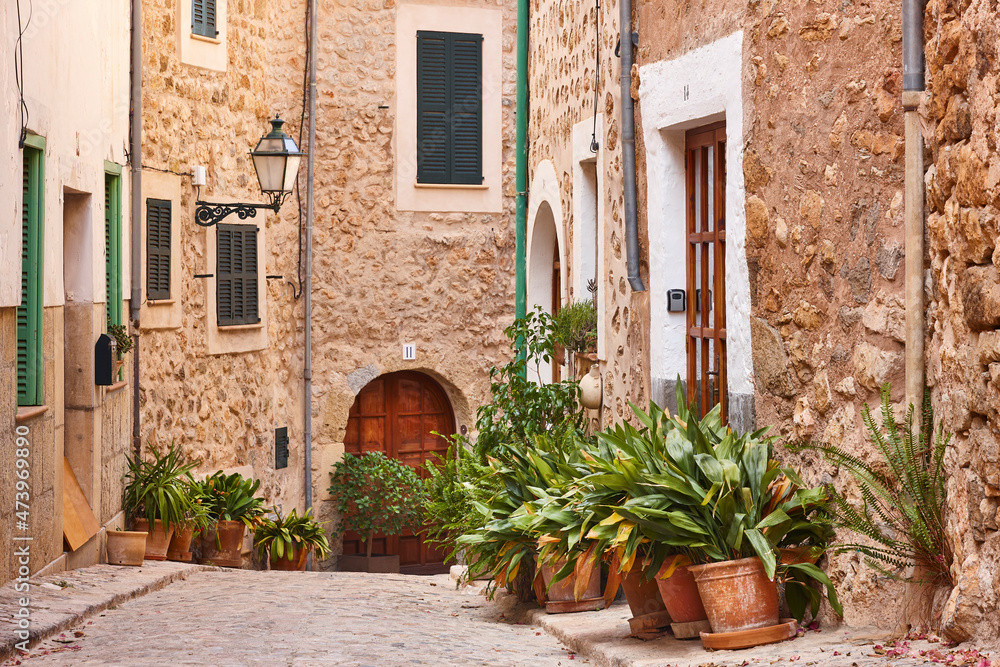 Fototapeta premium Traditional stone alley decorated with plants in Mallorca, Spain
