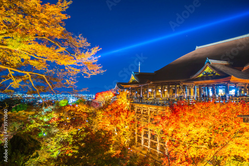 清水寺の紅葉　夜間特別拝観