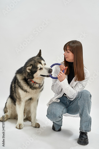 Woman play with circle puller toy with dog