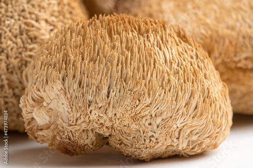 Dried Lion's Mane mushrooms or Hericium Erinaceus also called bearded tooth fungus. photo