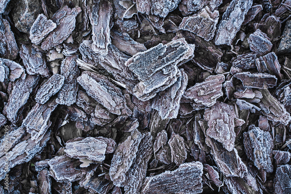 The texture of the pine bark. frosty mulch The texture of the pine bark. frosty mulch